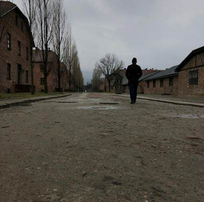 Conte�do do artigo